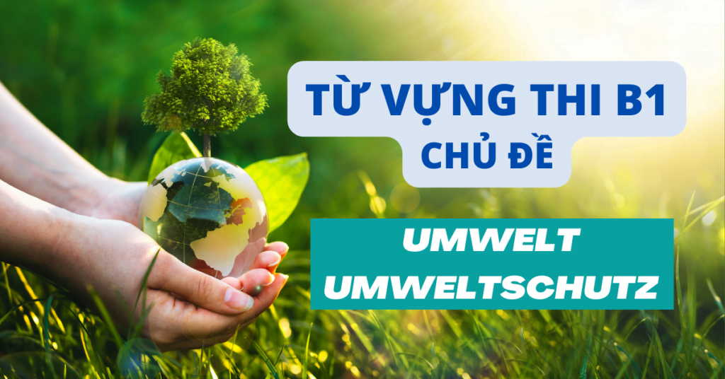 Tong hop tu vung thi B1 chu de Umwelt