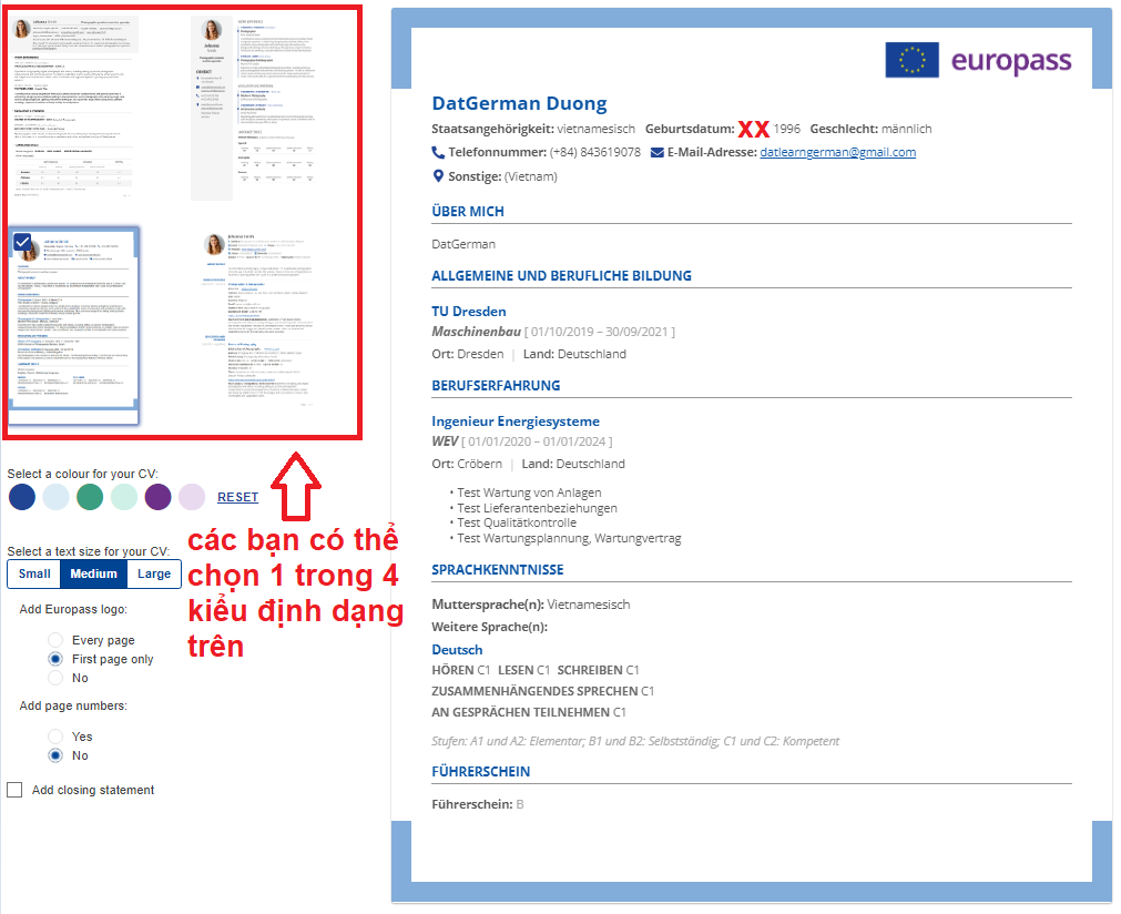 Huong dan tao Lebenslauf online 5