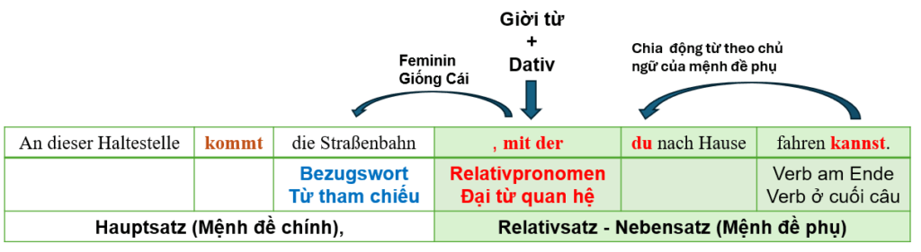 Relativsatz PrapositionDativ